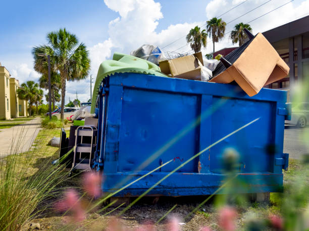 Best Yard Waste Removal  in Mesita, NM
